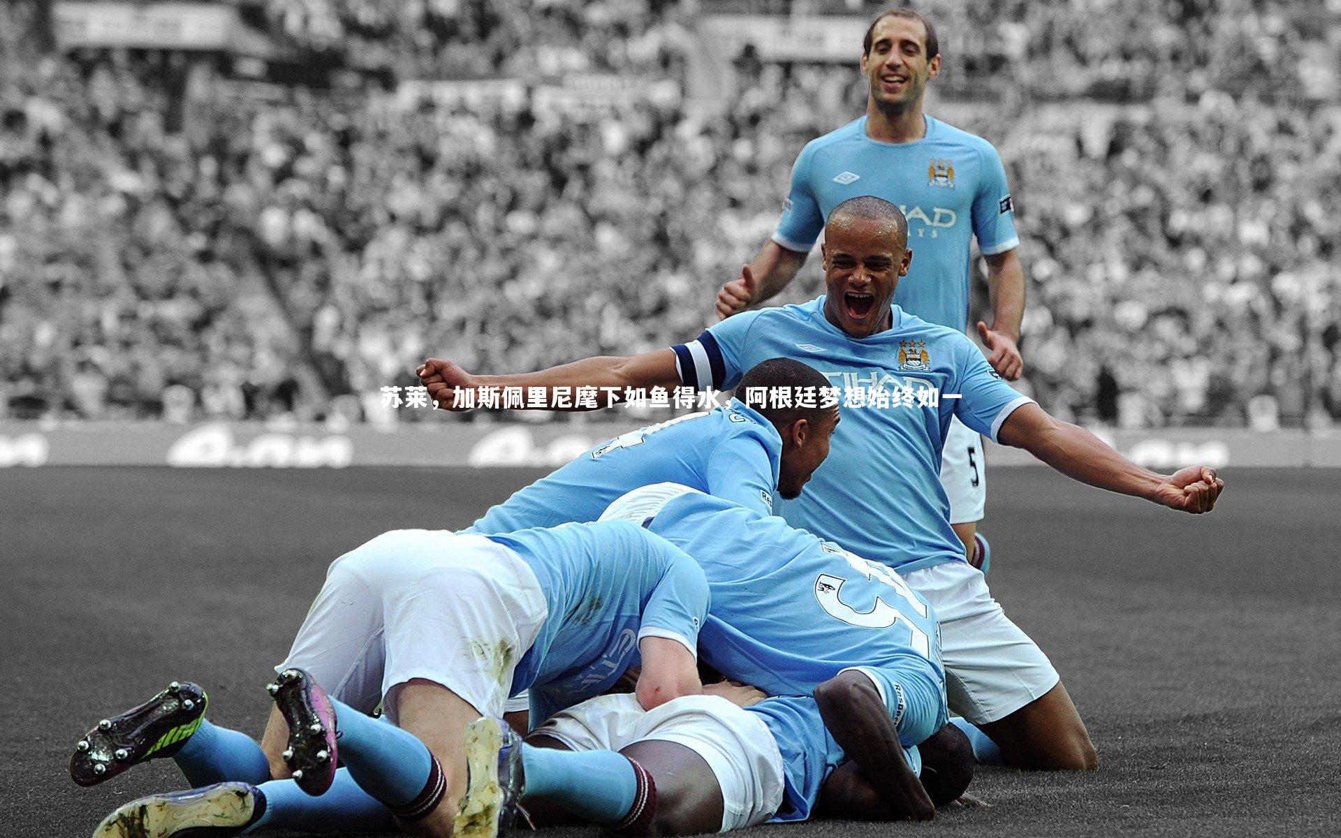 苏莱,加斯佩里尼麾下如鱼得水,阿根廷梦想始终如一